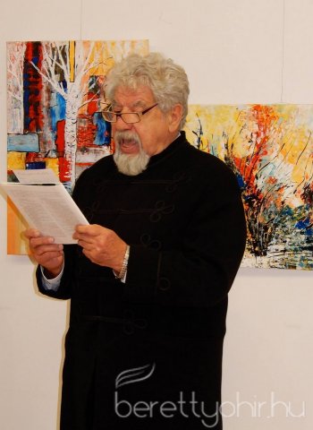 csathó töhötöm kiállításának megnyitója 17